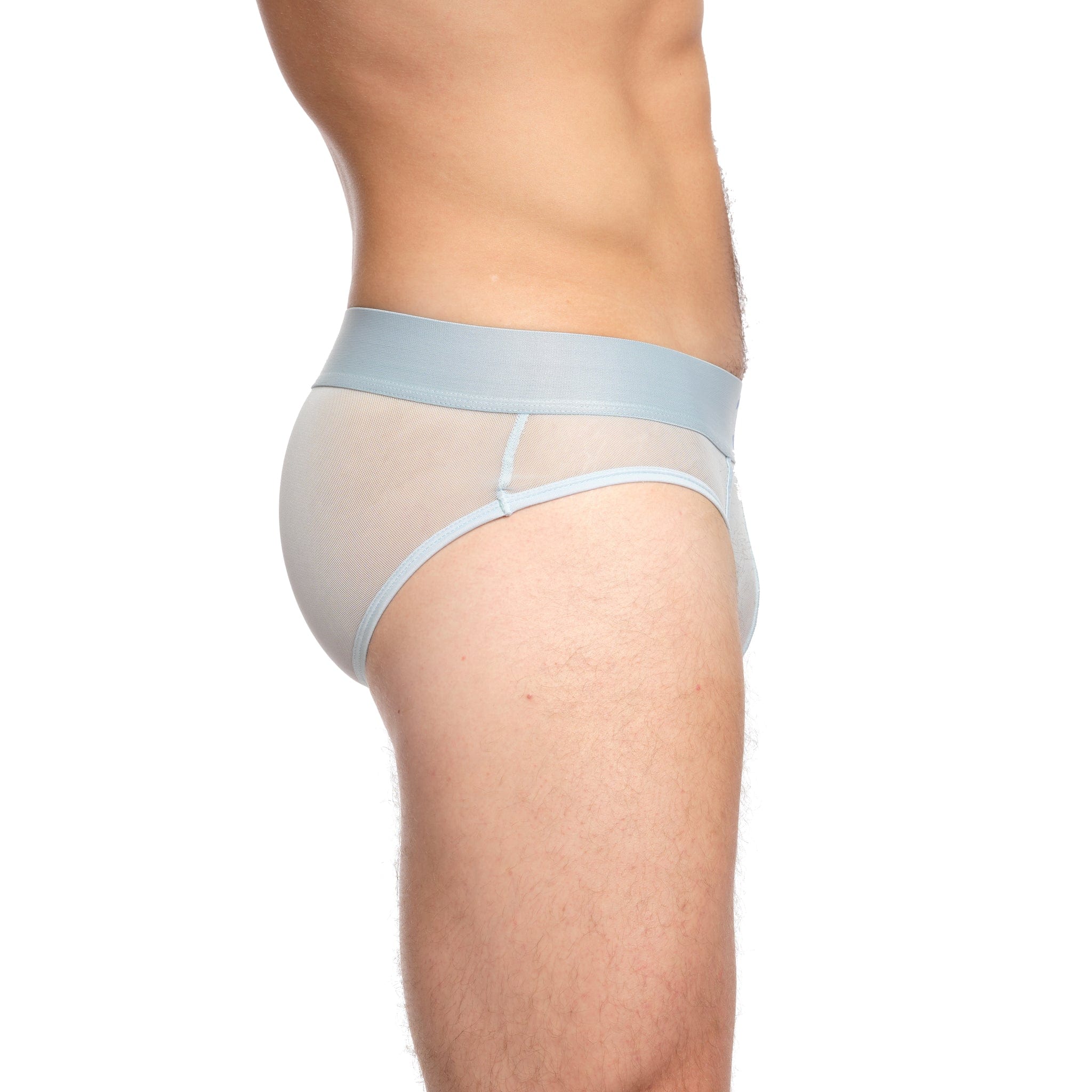 Just The Bones Sheer Brief Sky - Image 3